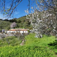 Mountain Hostel Finca La Isa by Rose