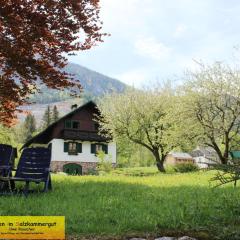 Haus Seeruhe - direkt am Grundlsee