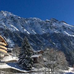 Holiday flat #1, Chalet Aberot, Wengen, Switzerland