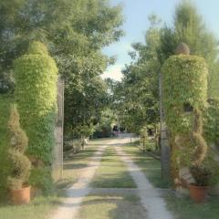 LAGO GABBIANO PODERe CASANOVA