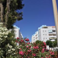 La Perla Azul Playa - Terraza al Sol