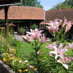 Le gîte des écureuils