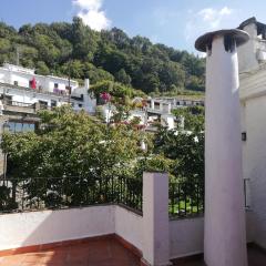 Apartamentos Cerro Negro