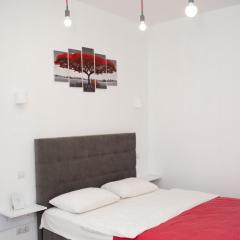 Deluxe Apartment in old city center