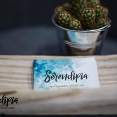 Serendipia