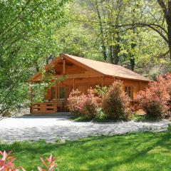 Le chalet bois de Célio