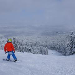 Borovets Apartment, Villa Park