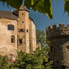 Burg Plankenstein