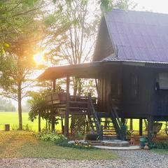 Tung Tong Homestay & Camping