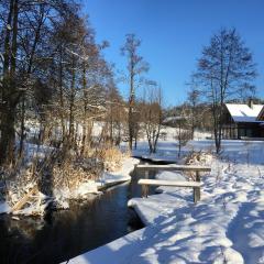 Atostogų namelis Druskininkuose