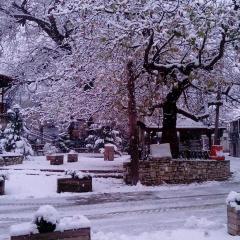 House On The Mountain