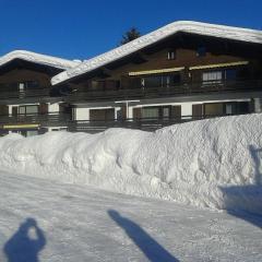 Apartmenthaus Panorama