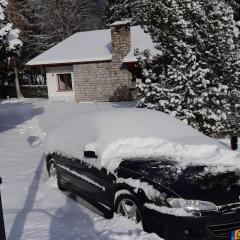 Spacious chalet in Randogne near Crans Montana