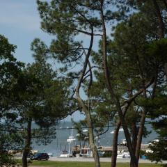 Appartement 2 chambres Bassin d'Arcachon front de mer, plage du Betey