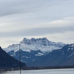 TOP Montreux Centre 2-8 p., view lake and Chillon Castle