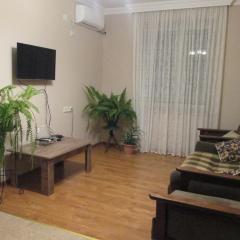 Apartment Mandarina