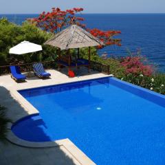 Private Luxury Villa Celagi - with large infinity pool and ocean view