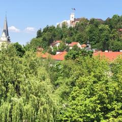 Castle View Studio