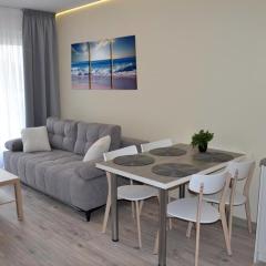 Apartament Srebrny z garażem