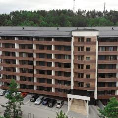 Vila Pekovic Apartman P8