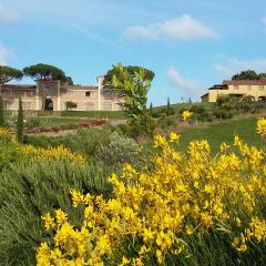 Residence Borgo Felciaione