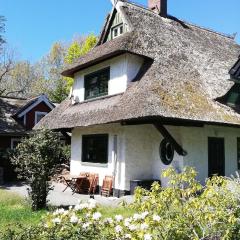 Darßer Strandgut - Haus Butzek