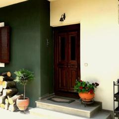 Traditional House in the Historic Center