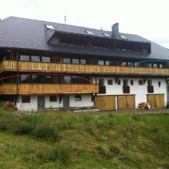 Ferienhaus Schweissing