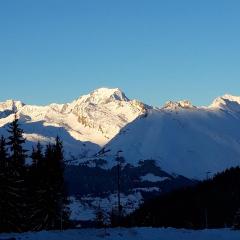 Bourg St Maurice les Arcs 1800 Les Lauzieres jolie vue, nature, espace, bien être, plaisir, paisible