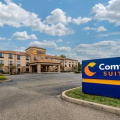 Comfort Suites Dayton-Wright Patterson