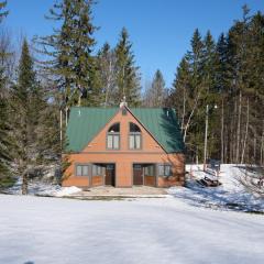 Ski in/out Spruce Glen Townhomes on Great Eastern Trail