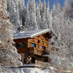 Les Saisies côté Bisanne appartement dans chalet LE Népal