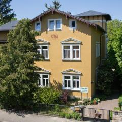 Apartment der Villa Elsa