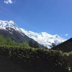 Studio au calme avec jardin et vue Mont-Blanc