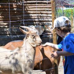 Casa Das Palmeiras-Pedagogic Farm