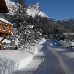 Face Mont-Blanc