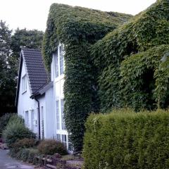 Ferienwohnung Antje