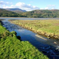 Abergwynant Farm Glamping & Apartments