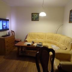 Apartament w centrum, garaż i jakuzzi w cenie