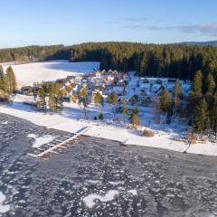 Village Lipno Lakeside - Lipno 056