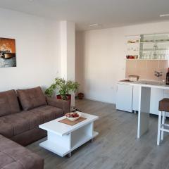 Apartment GEA 1