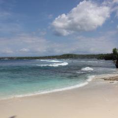 Secret Point Huts