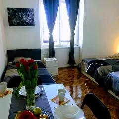 R01 Pula Center Green Park Apartments and Rooms