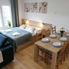 Apartmán Frymburk-Lipno G10