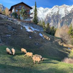 Panorama at Haus Waldheim! Nr 12