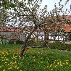 Pension Töpferhof