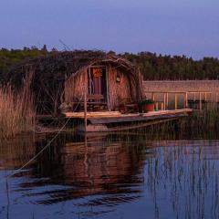 Bebru māja - Beaver house