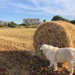 Agriturismo La Palascìa Masseria Agreste