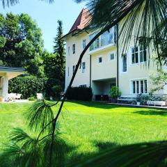 Historical Villa in the heart of Bled