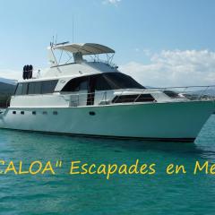 Ocean Yacht Trawler - Le Caloa